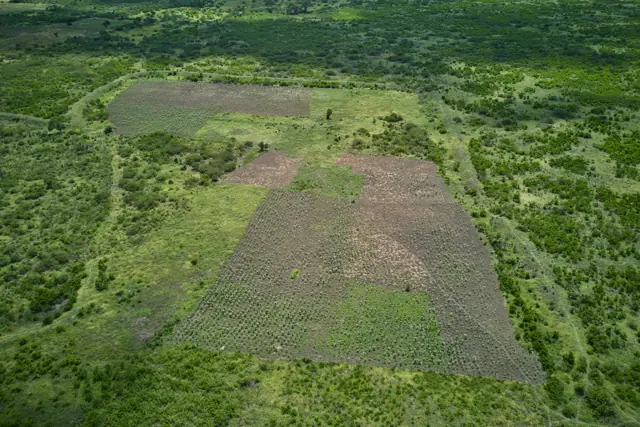Aerial view of surveyed plot blocks and access roads at Furaha Gardens