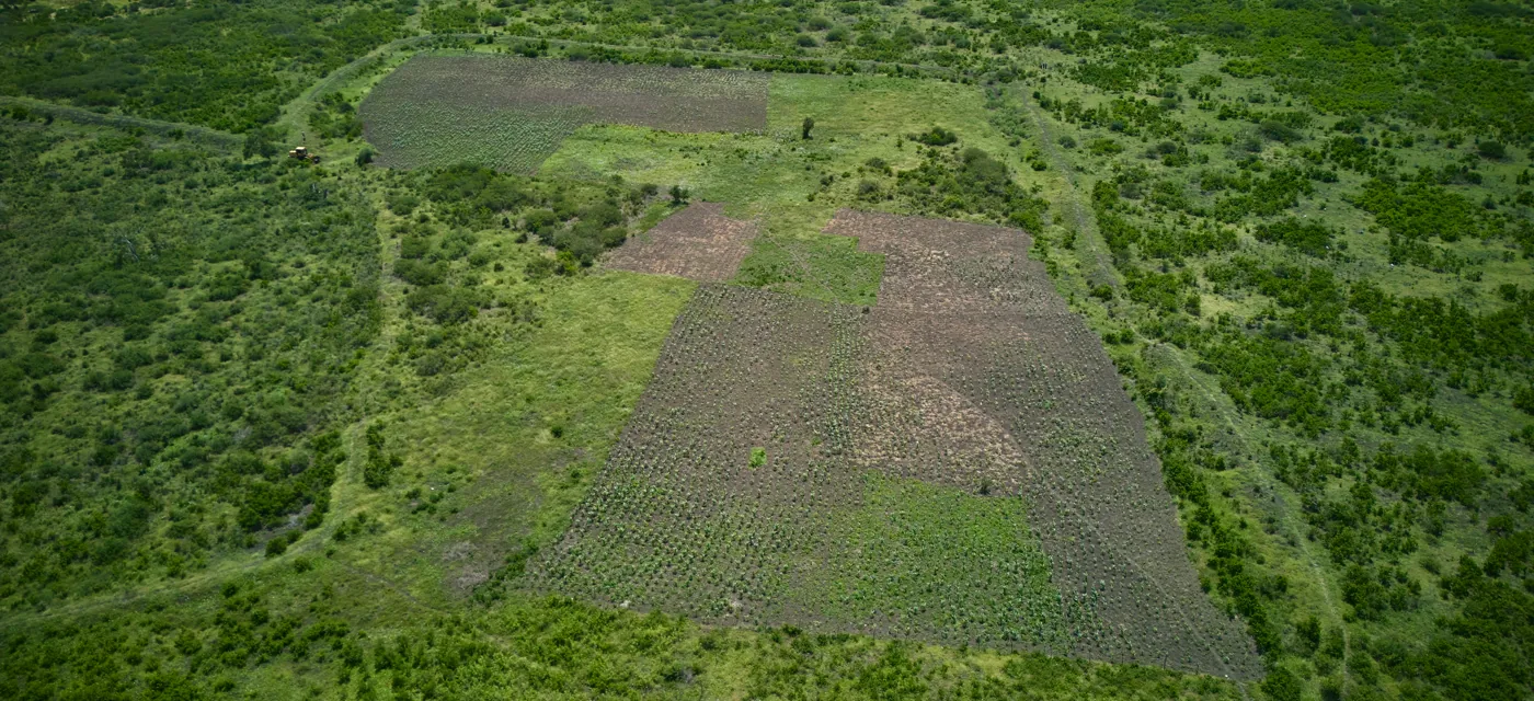 Aerial view of the Furaha Gardens subdivision in Gongoni, Kilifi County — surveyed plot blocks and graded internal roads